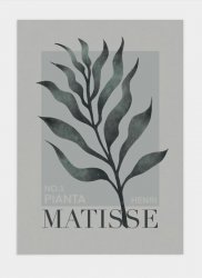 Poster Henri Matisse 50x70 cm