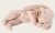 Sleeping bunny plush small, Powder
