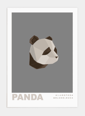 Poster 50x70 cm Panda